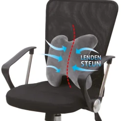 Lucovitaal Ergonomisch Rugkussen