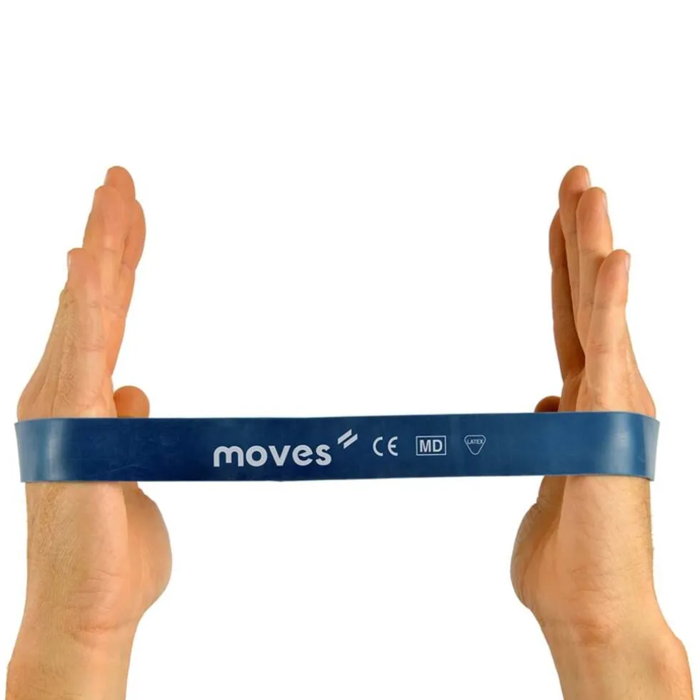 MoVeS Miniband
