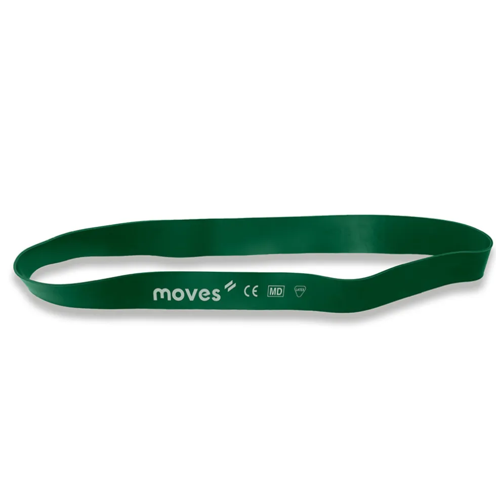MoVeS Miniband