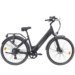 Nassau Paradise elektrische fiets met geintegreerde accu