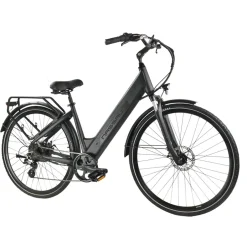 Nassau Paradise elektrische fiets met geintegreerde accu