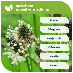 Natterman Voor Alle Hoest Nacht Adult