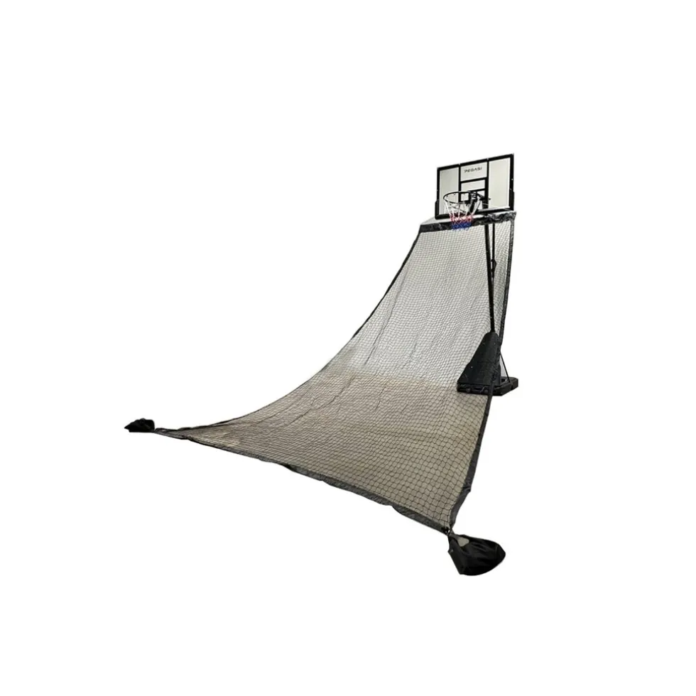 Pegasi basketbal return net
