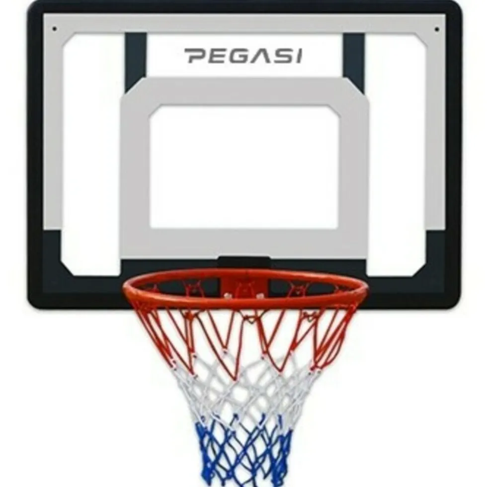 Pegasi basketbalbord Fun