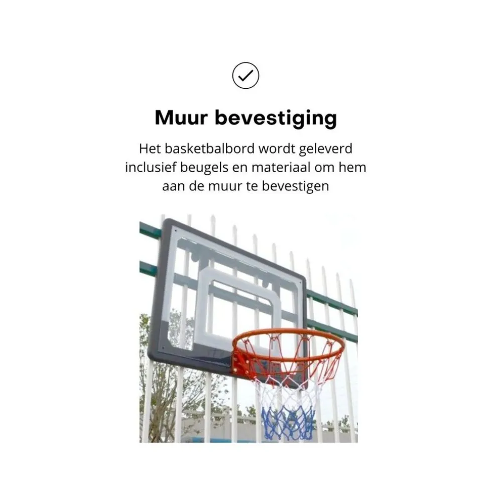 Pegasi basketbalbord Fun