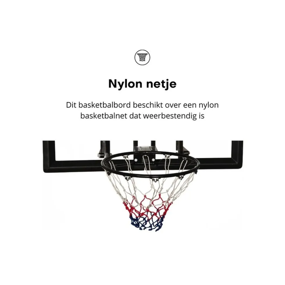 Pegasi basketbalbord School