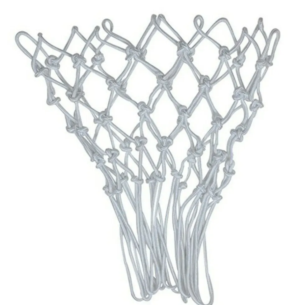 Pegasi basketbalnet