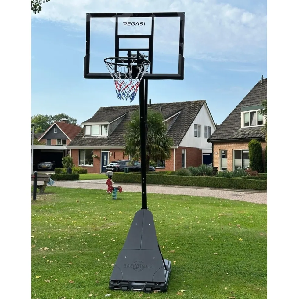 Pegasi basketbalpaal Home Pro