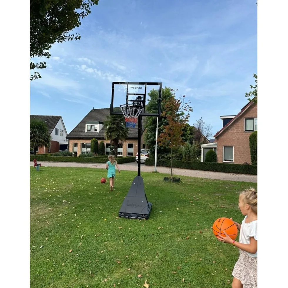 Pegasi basketbalpaal Home Pro