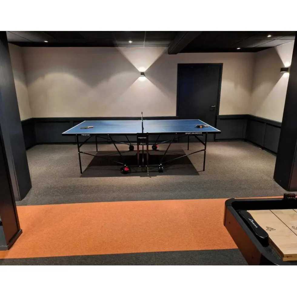 Pegasi Tafeltennistafel 500 Indoor
