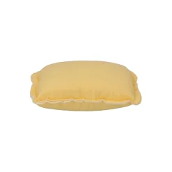 Protecton Zeemspons