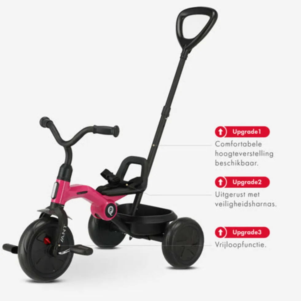 Qplay Ant driewieler – Roze