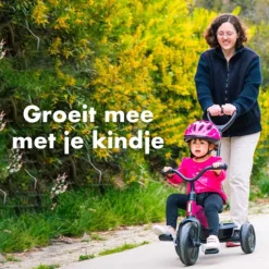 Qplay Ant driewieler – Roze