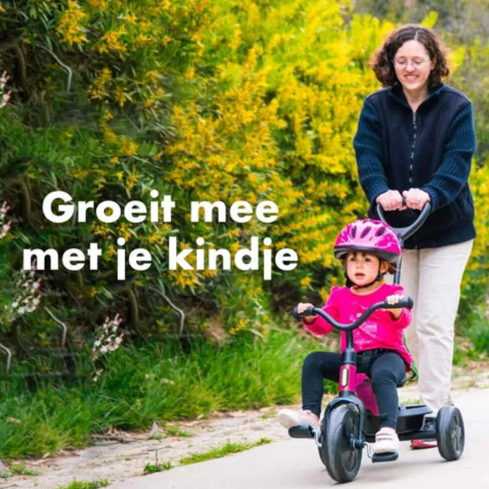 Qplay Ant driewieler – Roze