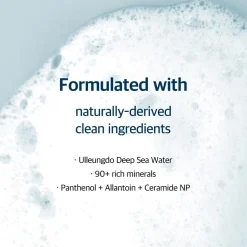 Round Lab 1025 Dokdo Cleanser