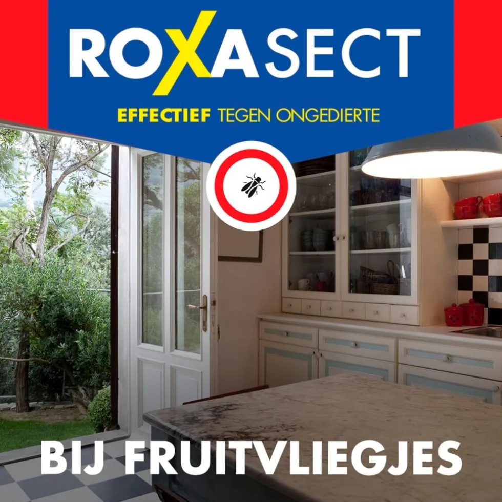 Roxasect Fruitvliegjes