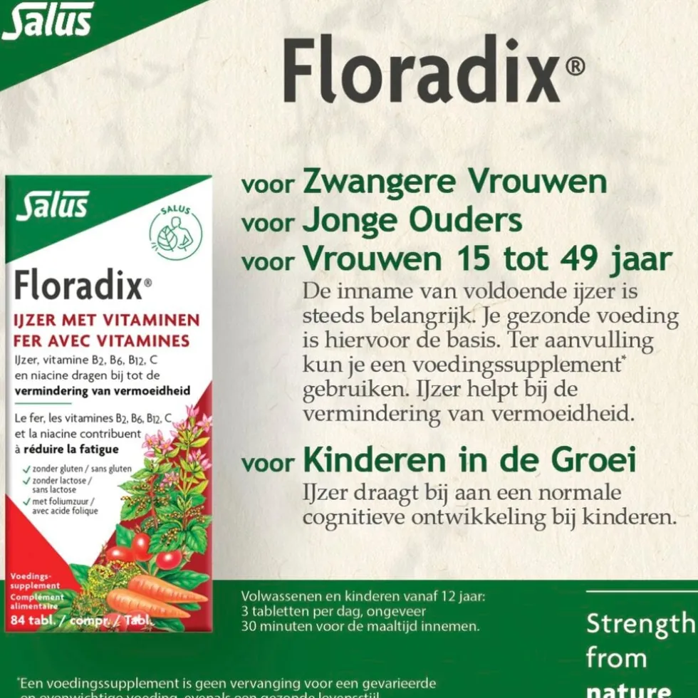 Salus Floradix Ijzer Tabletten