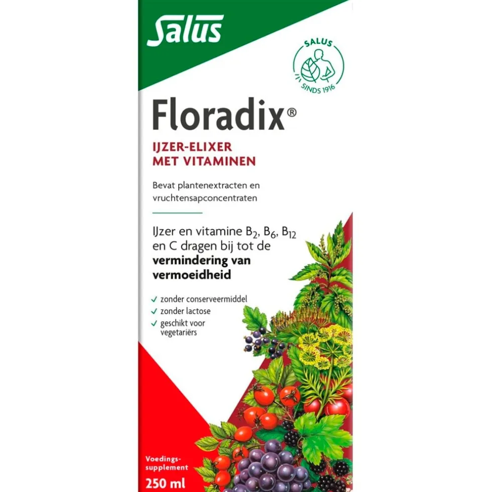 Salus Floradix Vloeibaar IJzer-Elixer