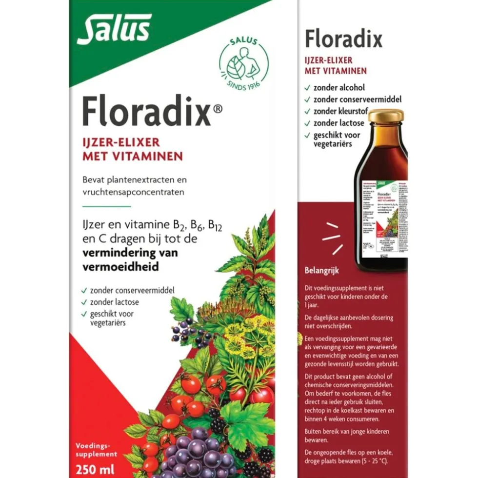 Salus Floradix Vloeibaar IJzer-Elixer