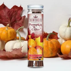 Scentsicles Pumpkin & Cider geurende kerstboomversiering met haken
