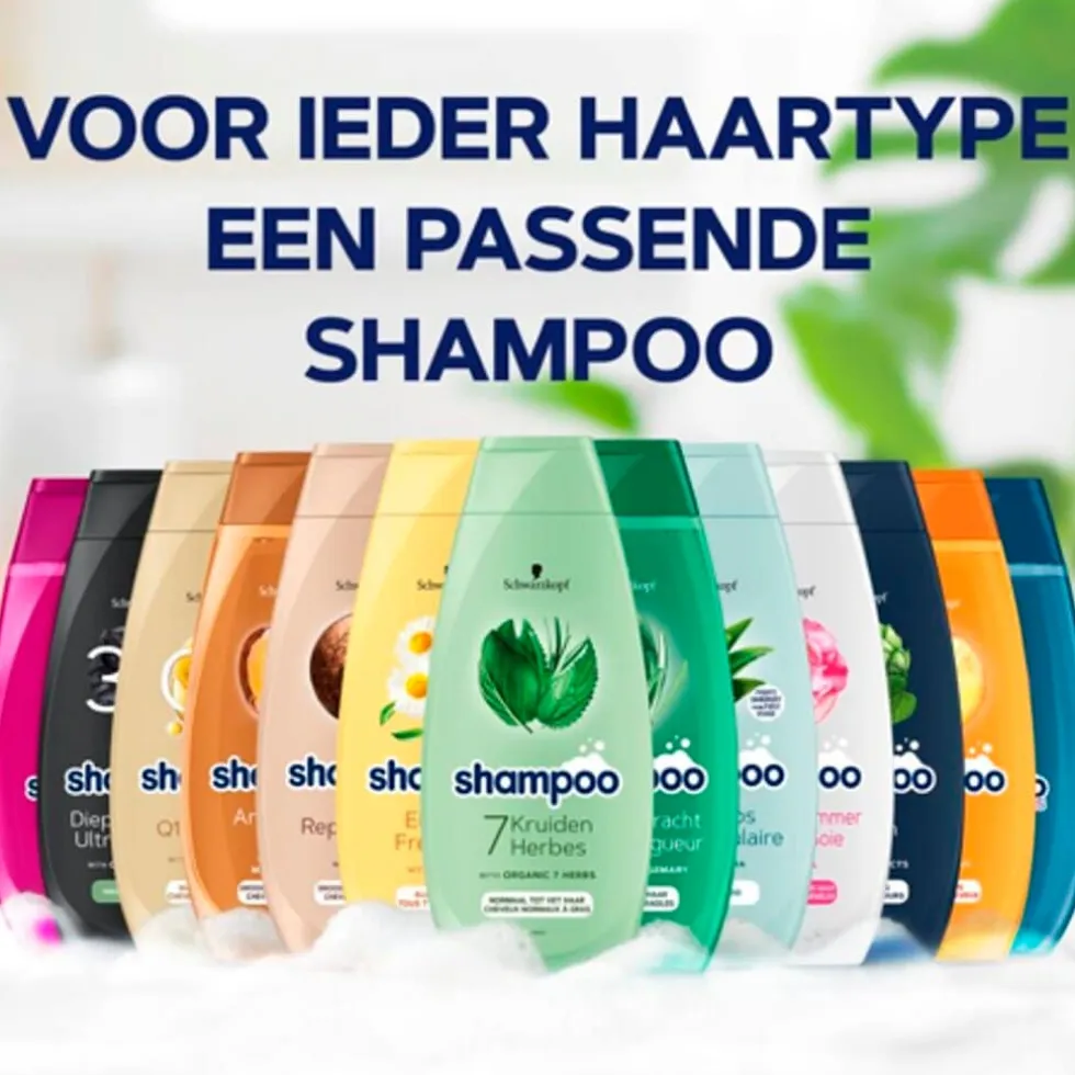 Schwarzkopf Argan Oil & Repair Shampoo