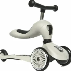 Scoot and Ride 2-in-1 Highwaykick Ash
