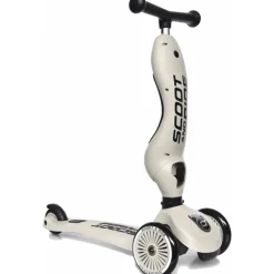 Scoot and Ride 2-in-1 Highwaykick Ash