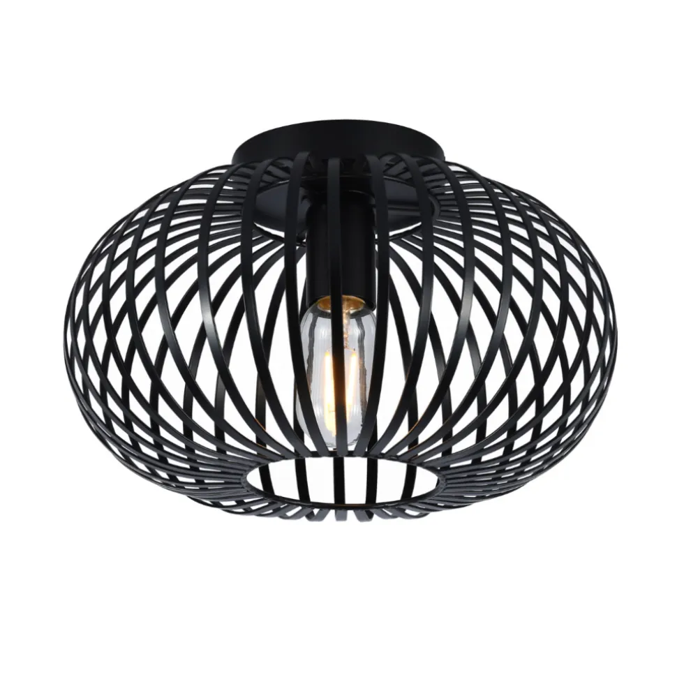 SensaHome Plafondlamp Industrieel Plafonnière van Metaal Retro Wire Kooi Design
