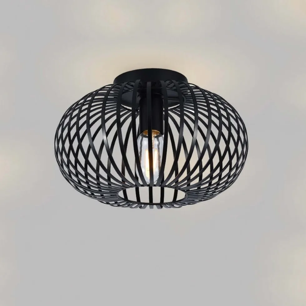 SensaHome Plafondlamp Industrieel Plafonnière Retro Wire Kooi Design