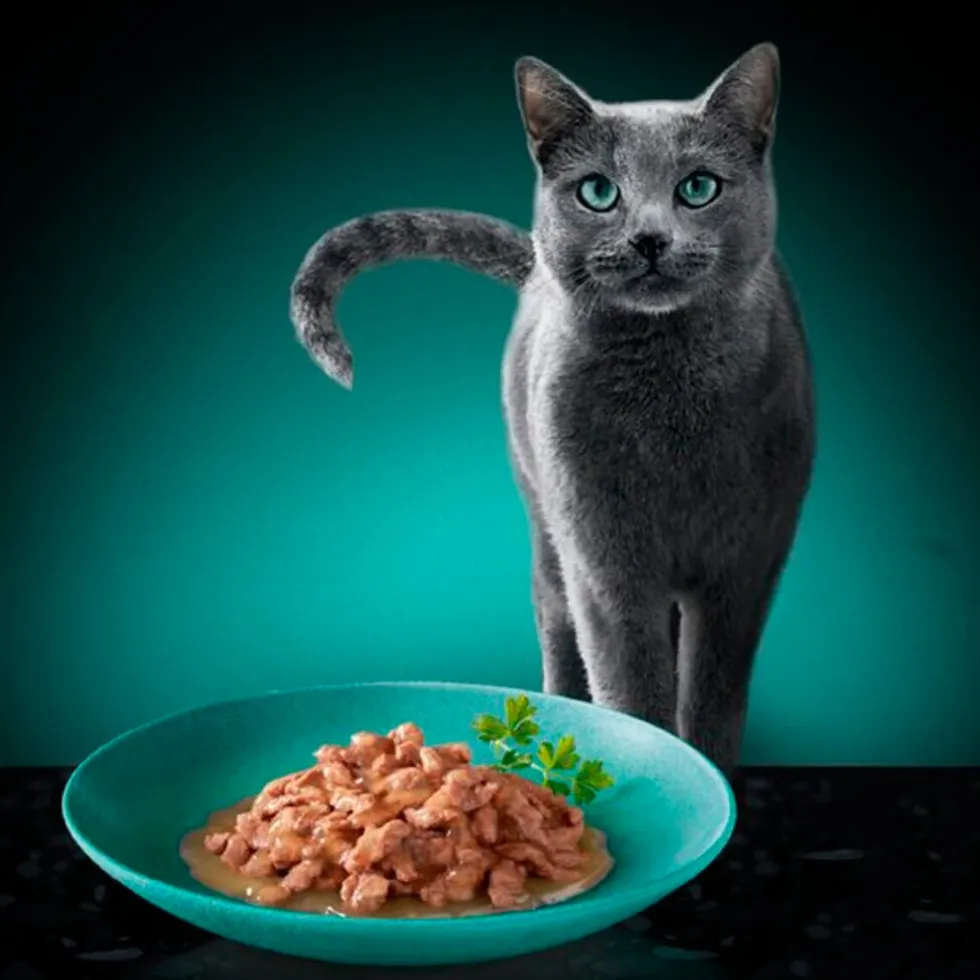 Sheba Délices du Jour in Saus met Kip, Kalkoen en Eend Maaltijdzakjes Kattenvoer