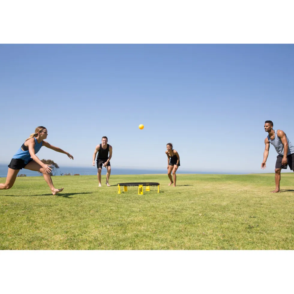 Spikeball Standaard Set