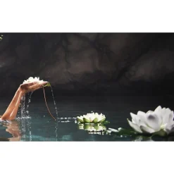 Therme Zen White Lotus Antitranspirant Spray