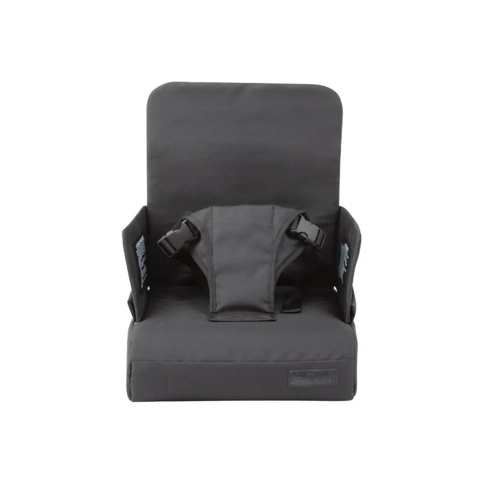 Titanium Baby Smart Seat2Go Stoelverhoger