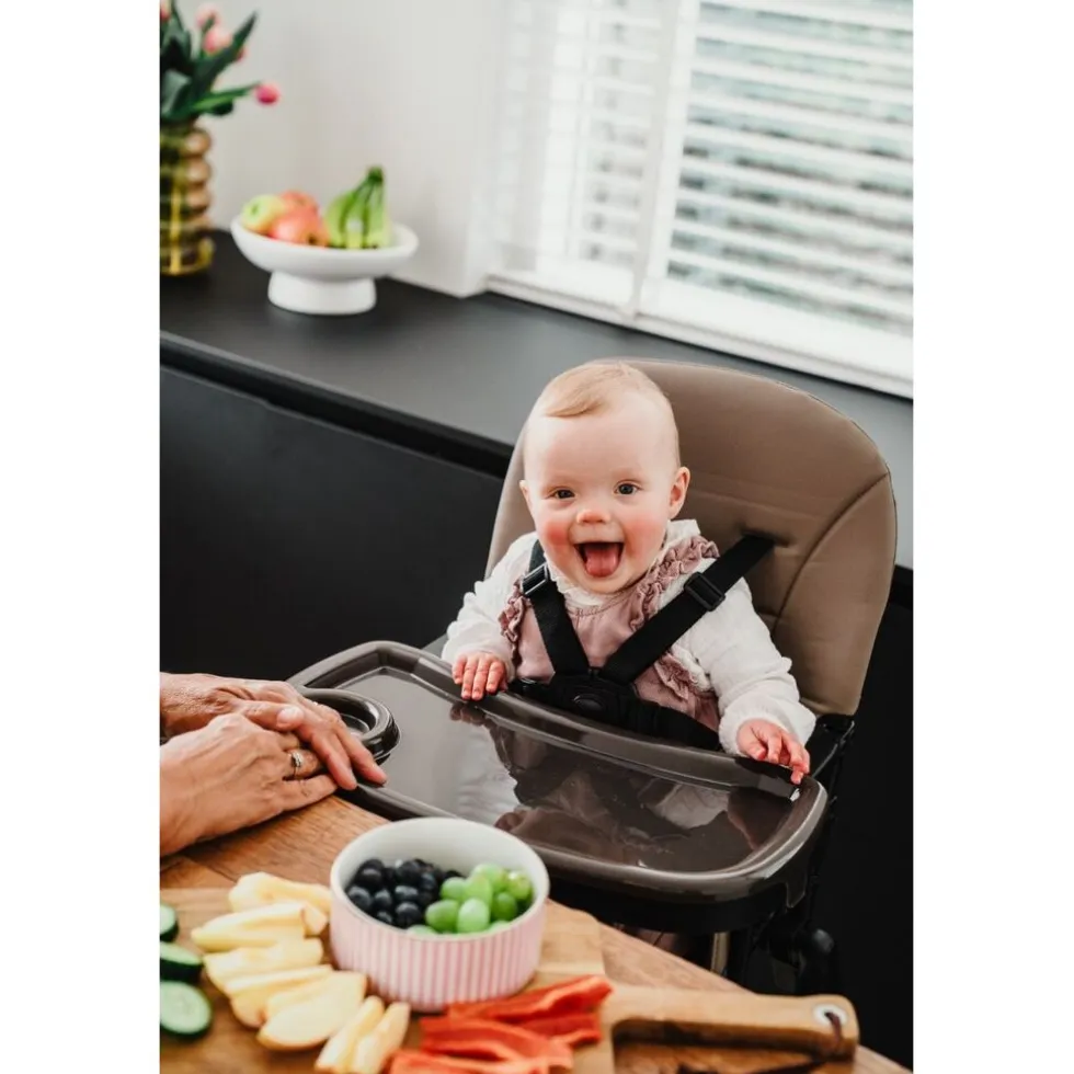 Titanium Baby Solid Kinderstoel