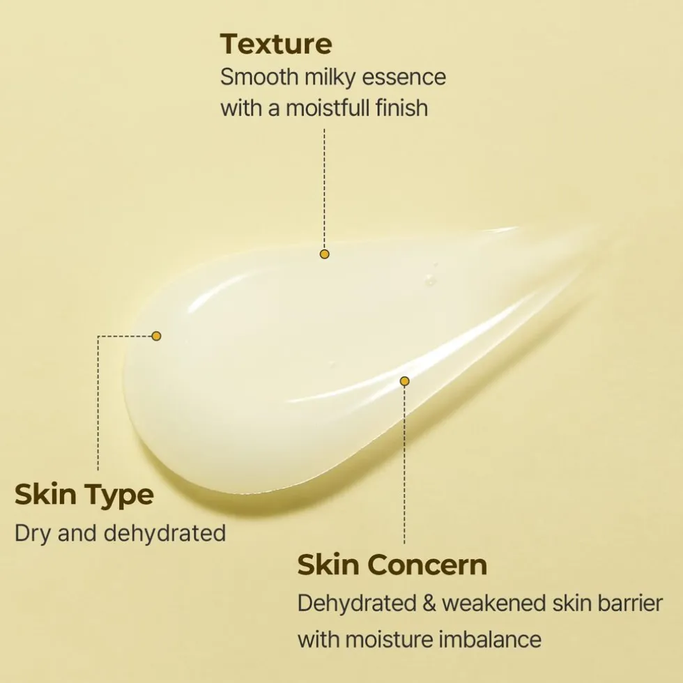 Torriden SOLID-IN All Day Essence