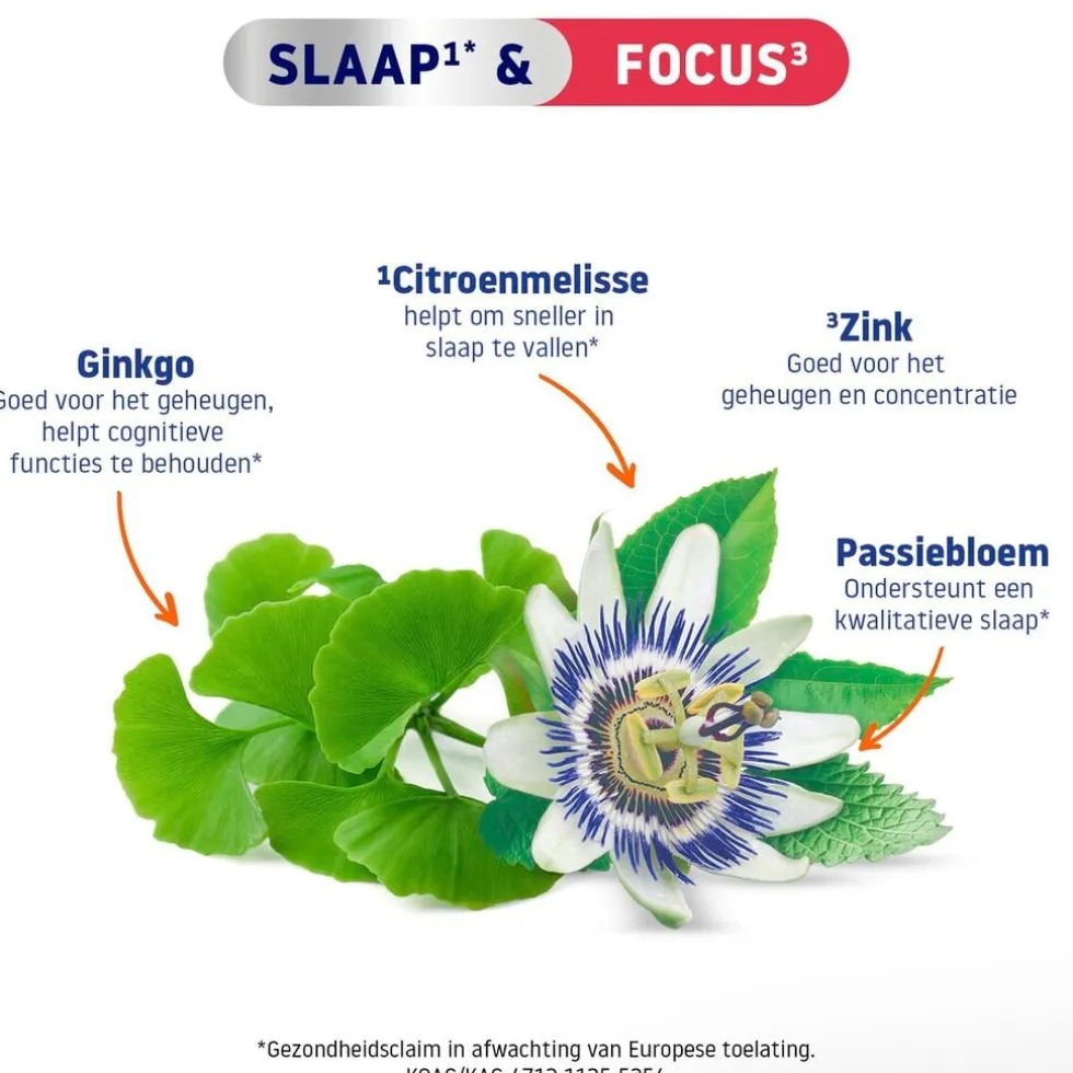 Valdispert Slaap & Focus Tabletten