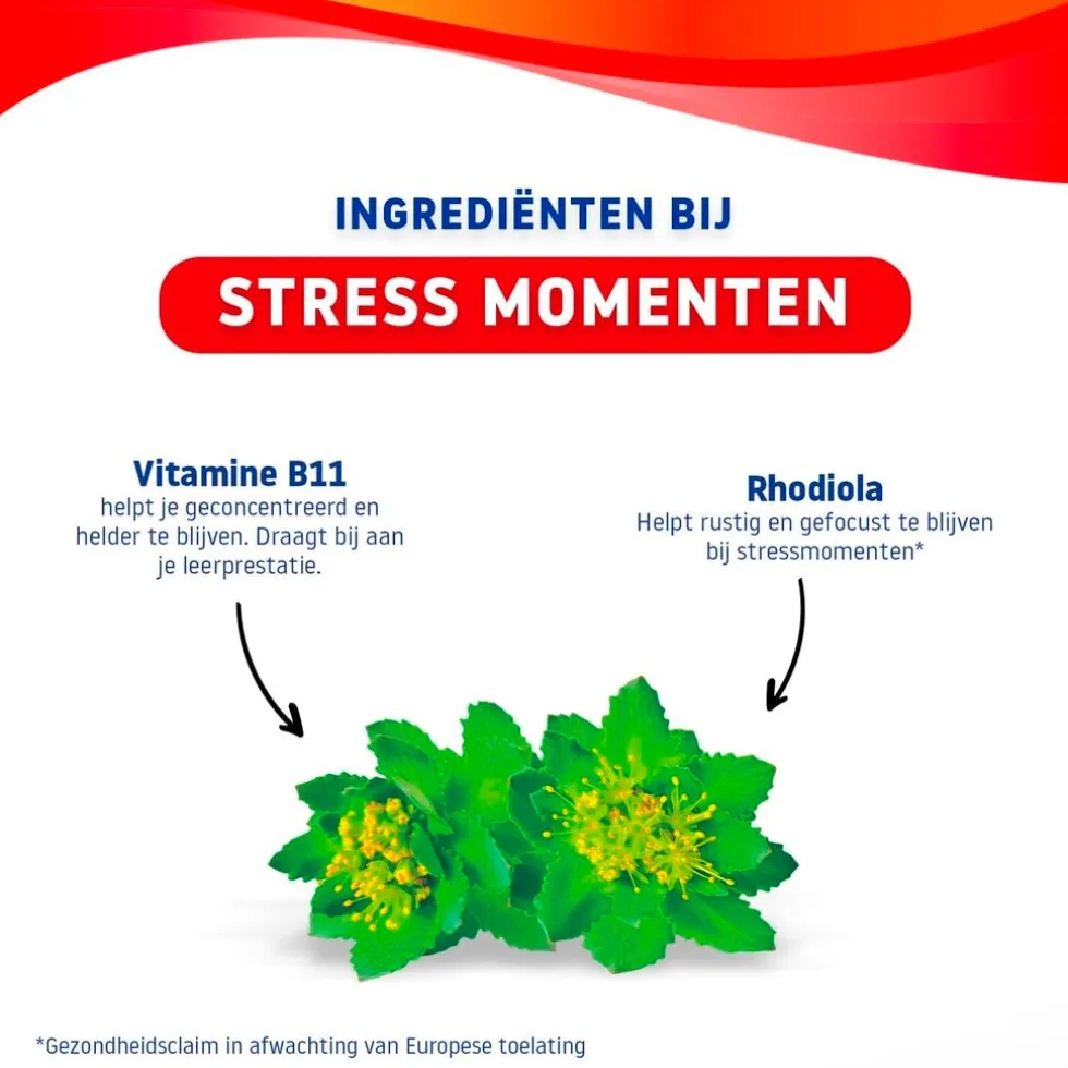 Valdispert Stress Gummies