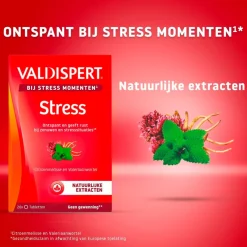 Valdispert Stress Moments Tabletten