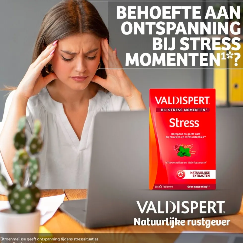 Valdispert Stress Moments Tabletten
