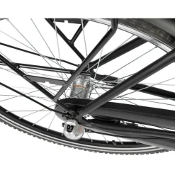 Villette Transporter dames e-bike Nexus 3