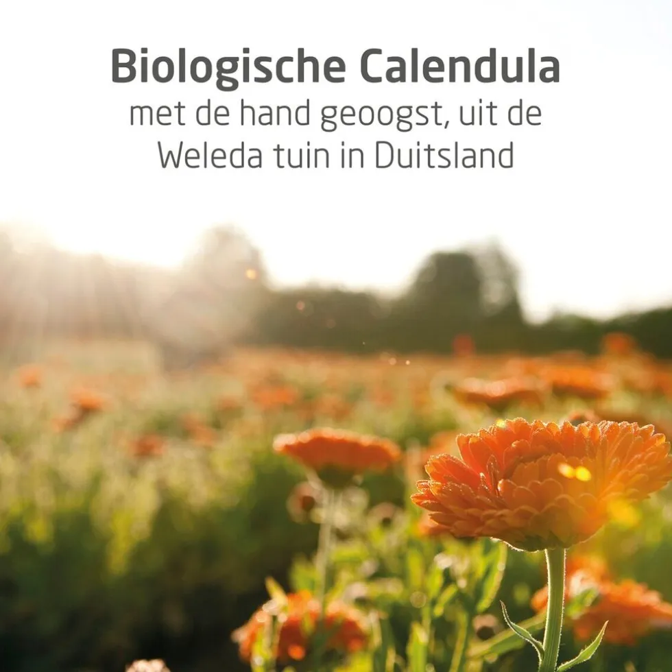 Weleda Baby Calendula Billenbalsem
