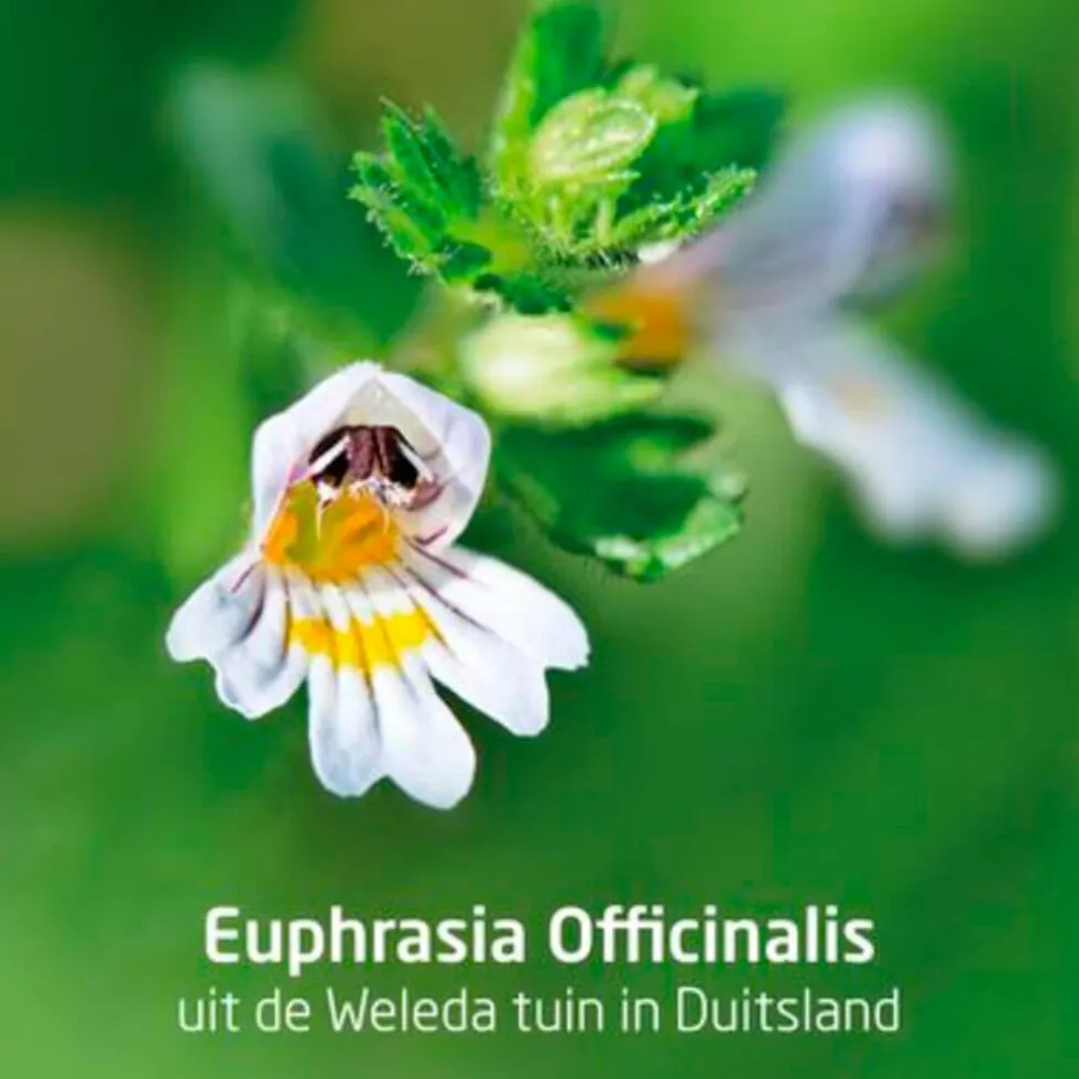 Weleda Ogentroost Oogdruppels